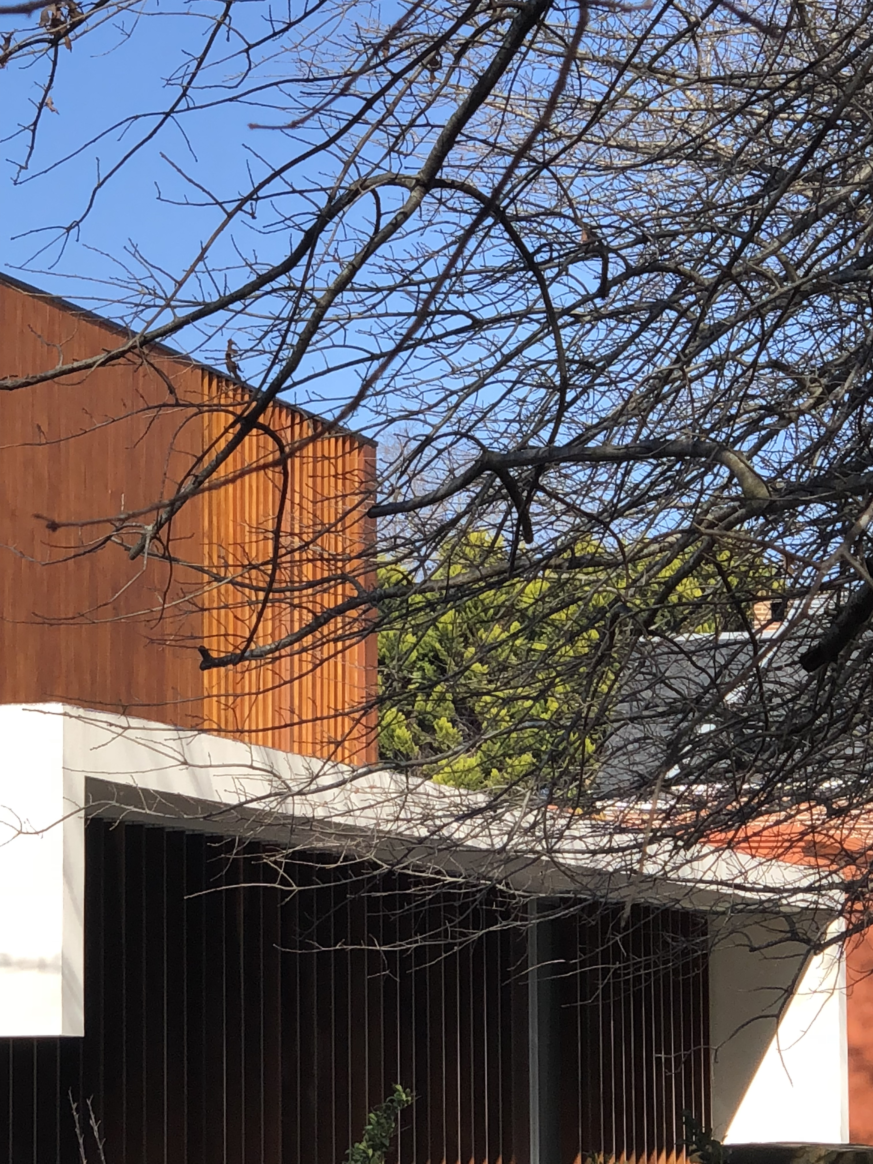 Casa 45, Villa Rosa, SSA Schulz + Schulz Arquitectos, 6